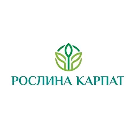 silakarpat.webp