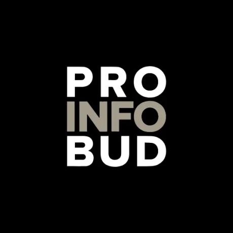pib-logo.webp